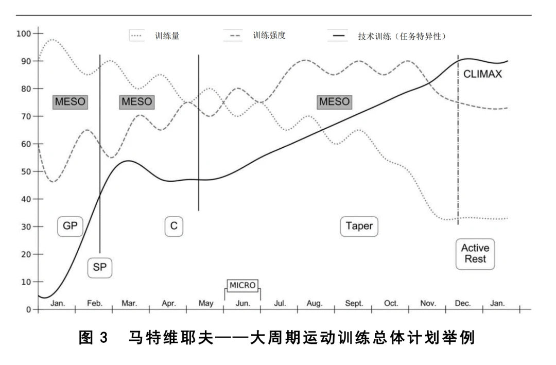 适合不同年龄段篮球爱好者的体能训练方案_1