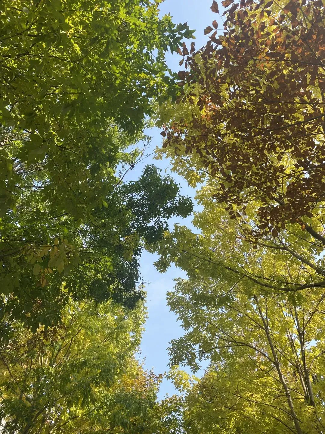 _2